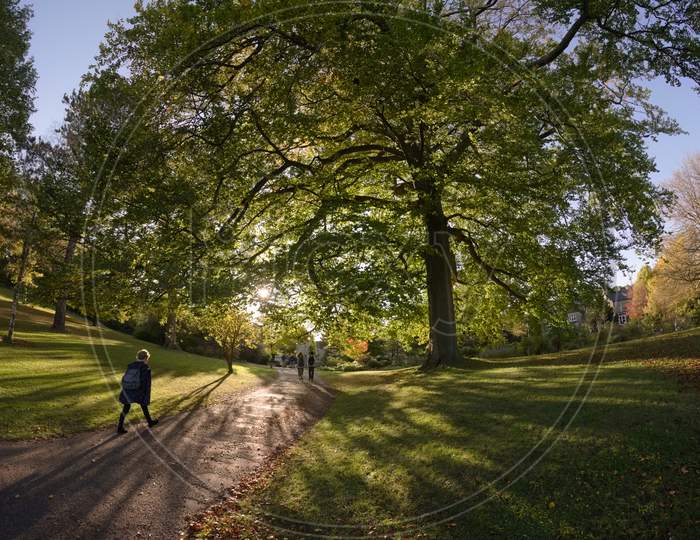 Woman Wearing Coat And Backpack Strides Along A Sunny Path Under Tree