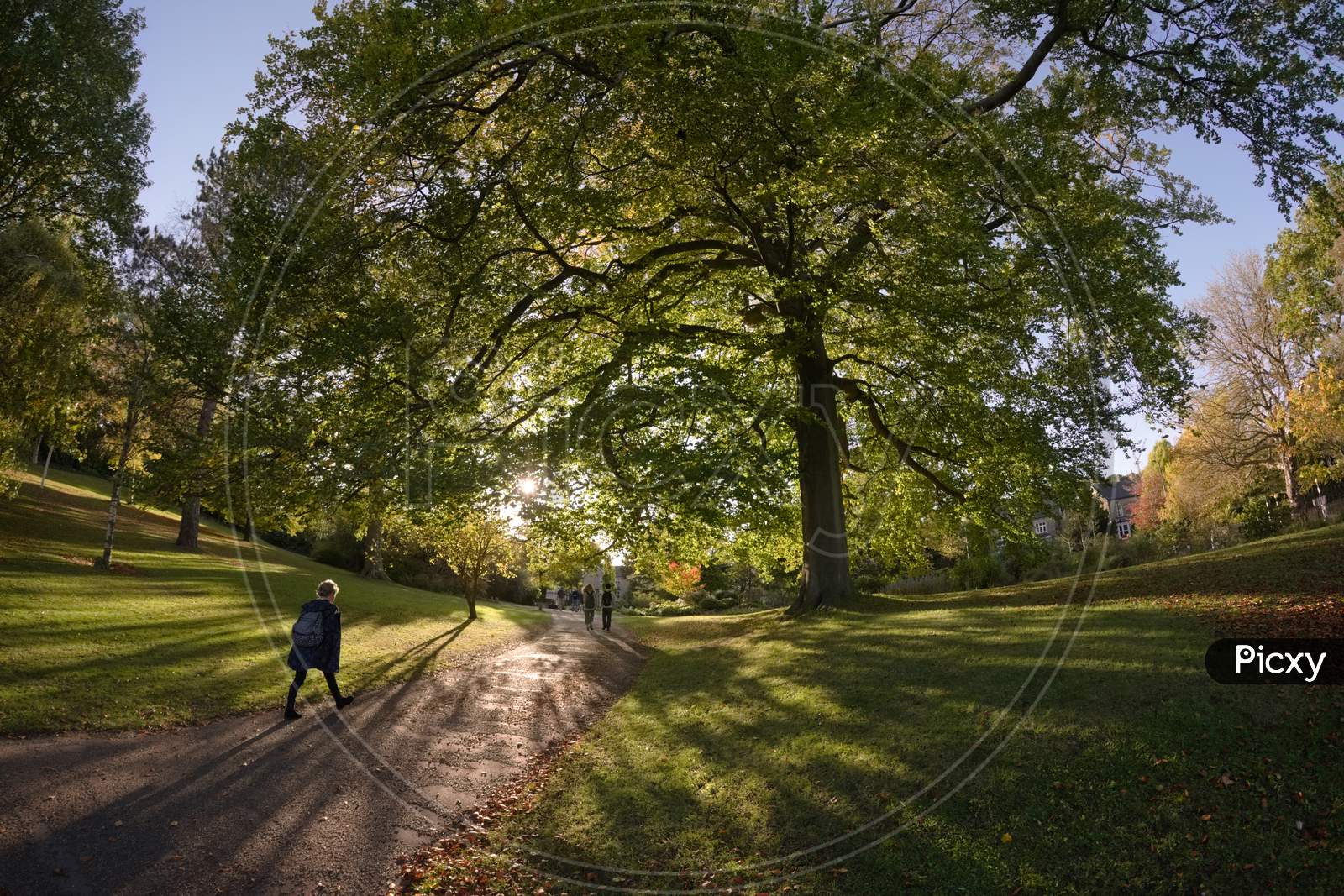 Woman Wearing Coat And Backpack Strides Along A Sunny Path Under Tree