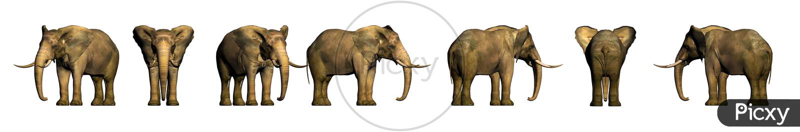3D Elephant View From Different Angles | 3D Animal | Elephant Matte Painting Paiting For Vfx Projects And Post Move Produciton Projects