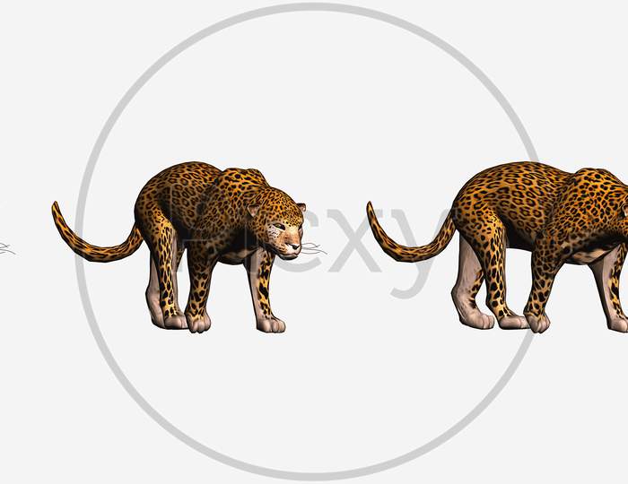 Leopard 3D Model | 3D Digital Render Of Leopard From Diffrent Agles, Animal Matte Painting For Vfx Projects And Post Move Produciton Projects