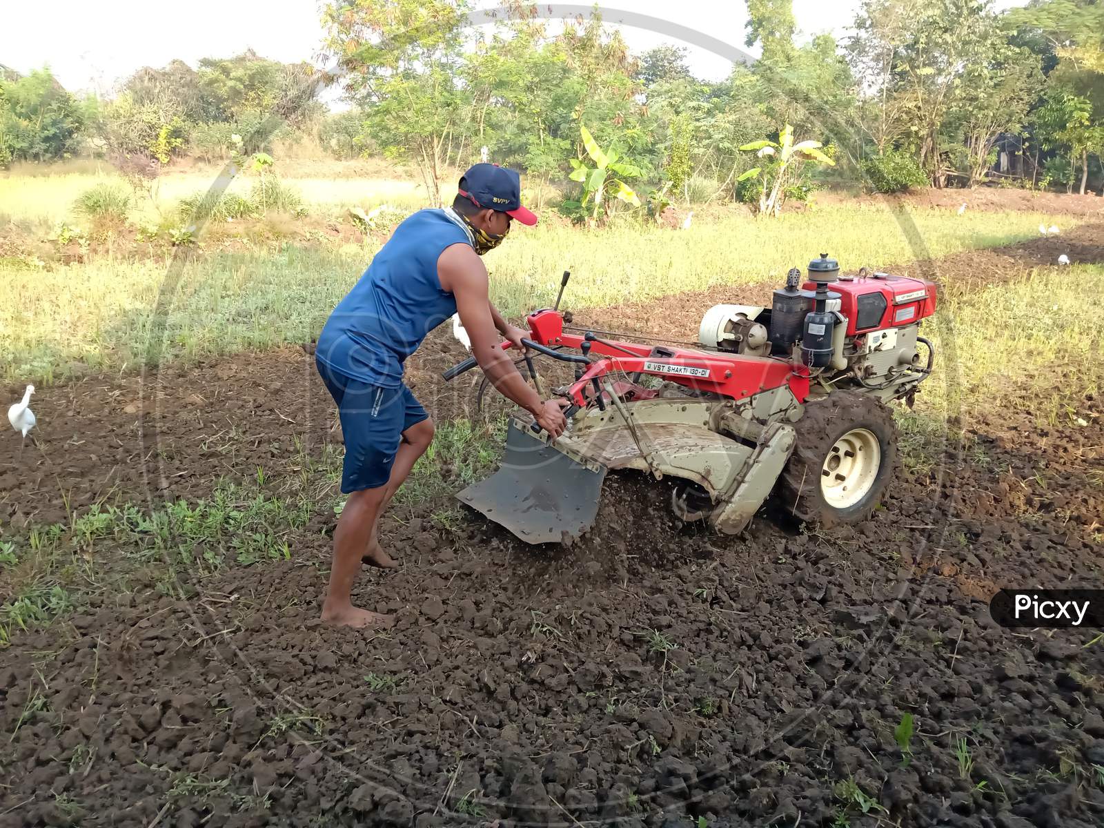 PALGHAR, MAHARASHTRA, INDIA - DESEMBER 26 2021: The field is plowed with sand by tractor, tractor machine name (Tillage with VST Shakti 130 DI)