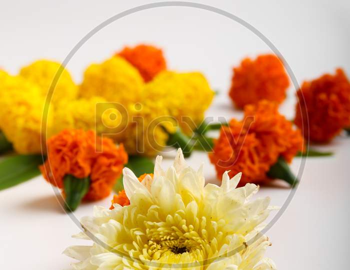 Marigold Flower Rangoli Design On White Background.