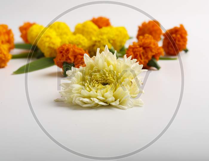 Marigold Flower Rangoli Design On White Background.