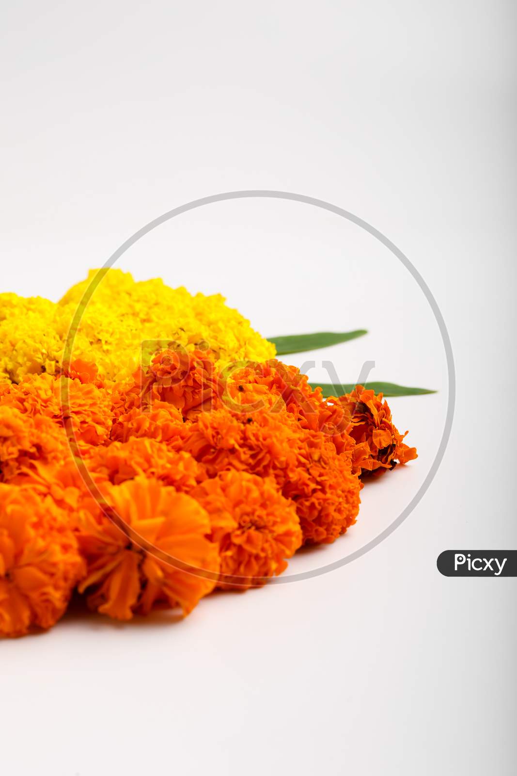 Marigold Flower Rangoli Design For Diwali Festival , Indian Festival Flower Decoration