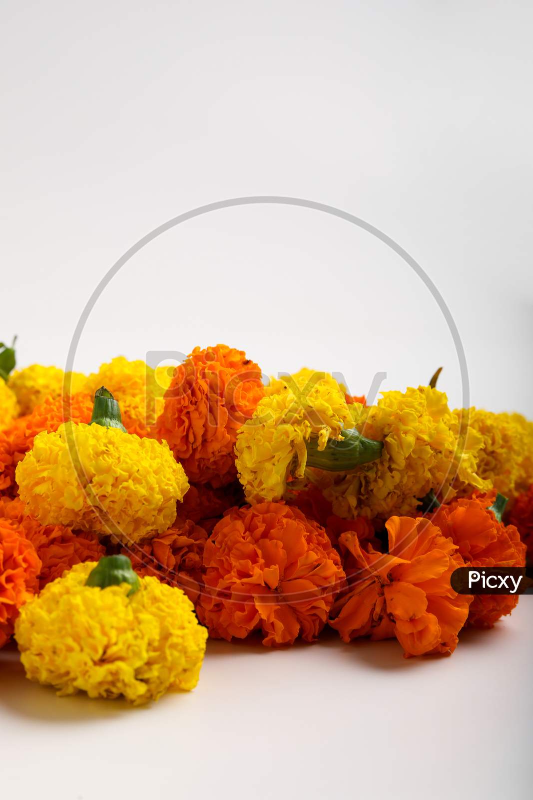 Marigold Flower Rangoli Design For Diwali Festival , Indian Festival Flower Decoration