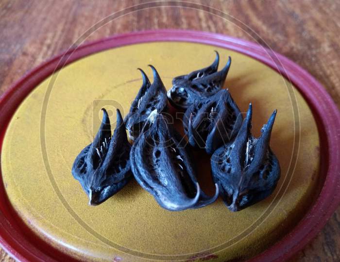 Tiger's Claw, Devil's Claw (Martynia annua L.), seeds. Used as a medicine in India, ancient Ayurvedic therapies.