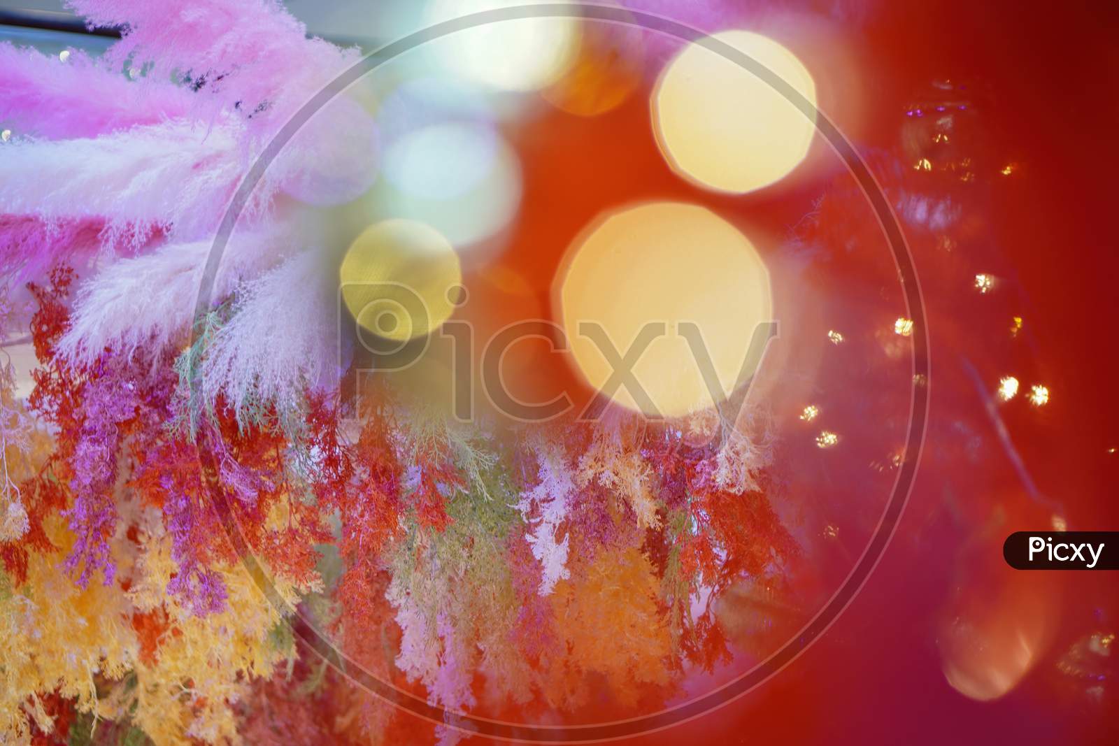 Colorful Fake Flower With Foreground Bokeh