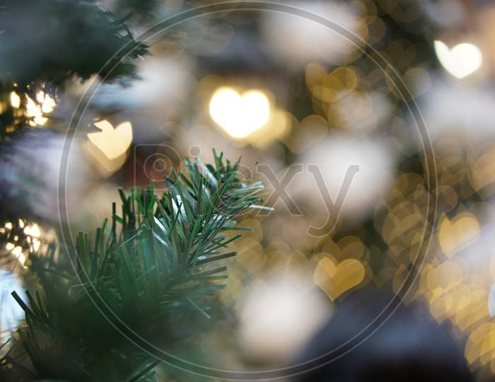 Close Up The Christmas Leaves With Love Bokeh Background
