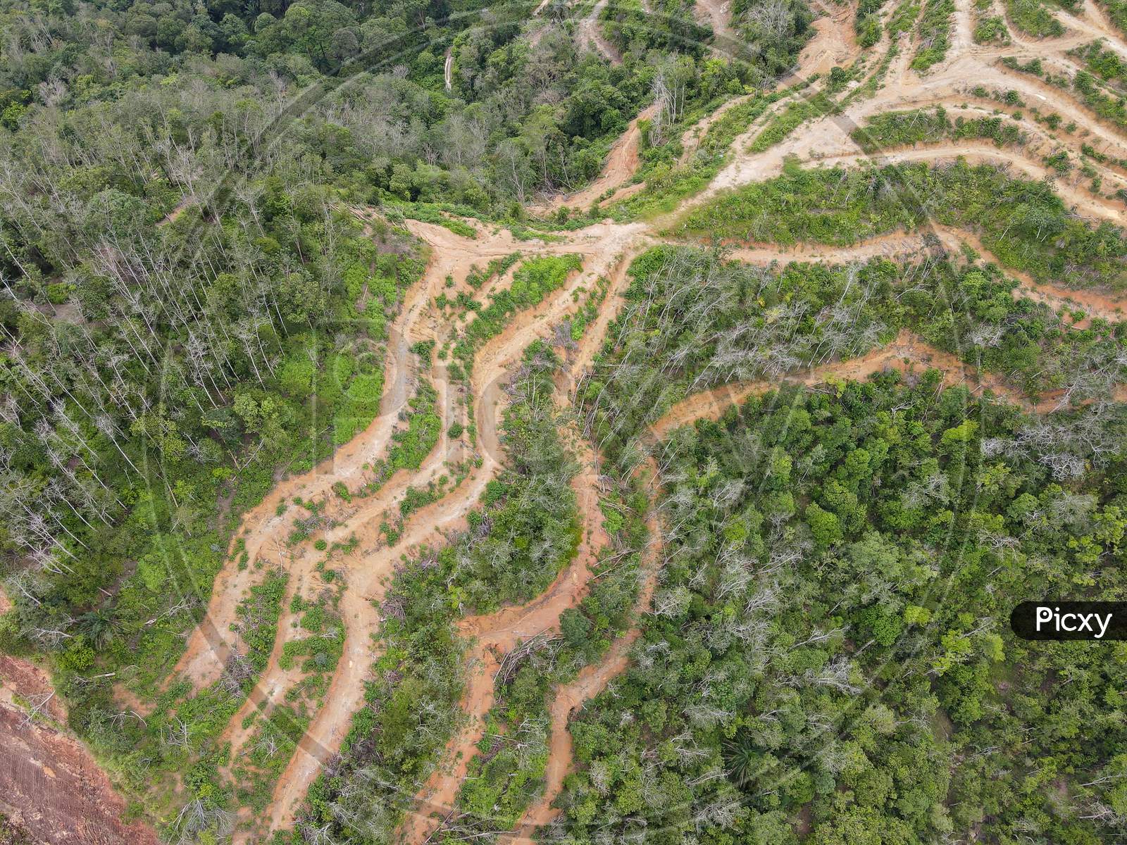 Aerial View Look Down Land Of Forest At Hill
