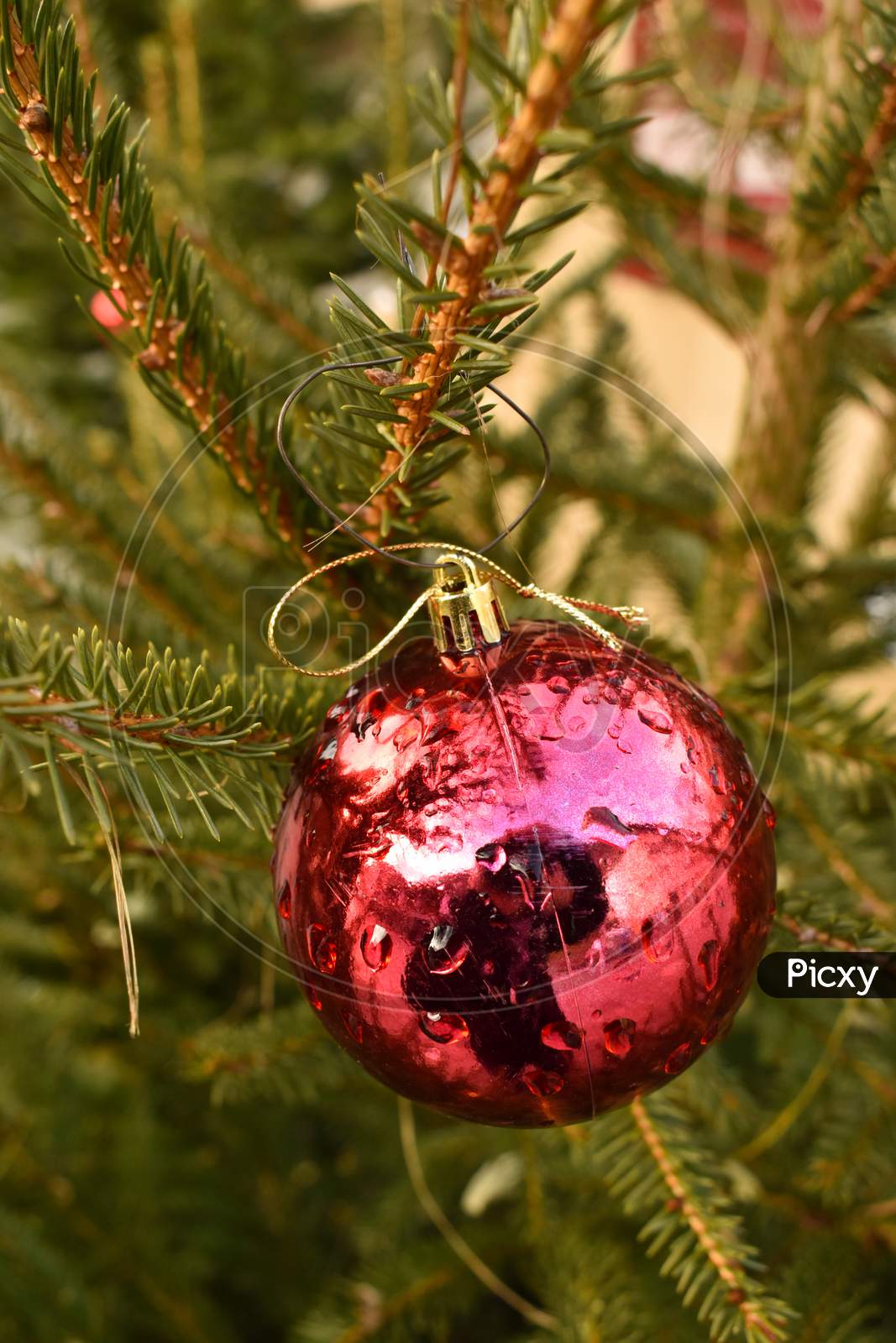 Vaduz, Liechtenstein, December 6, 2021 Christmas Ornament On A Fir Tree