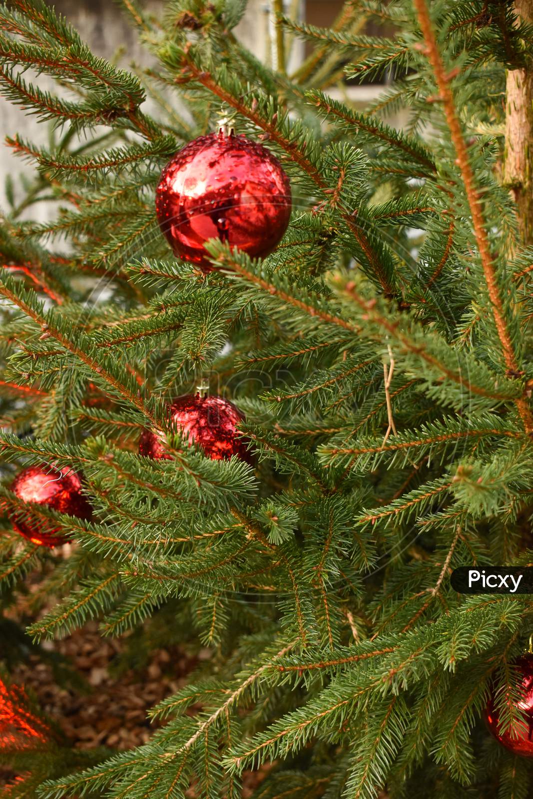 Vaduz, Liechtenstein, December 6, 2021 Christmas Ornament On A Fir Tree