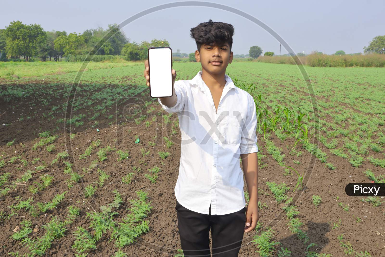 Indian Child Showing Smartphone Screen At Agriculture Field.