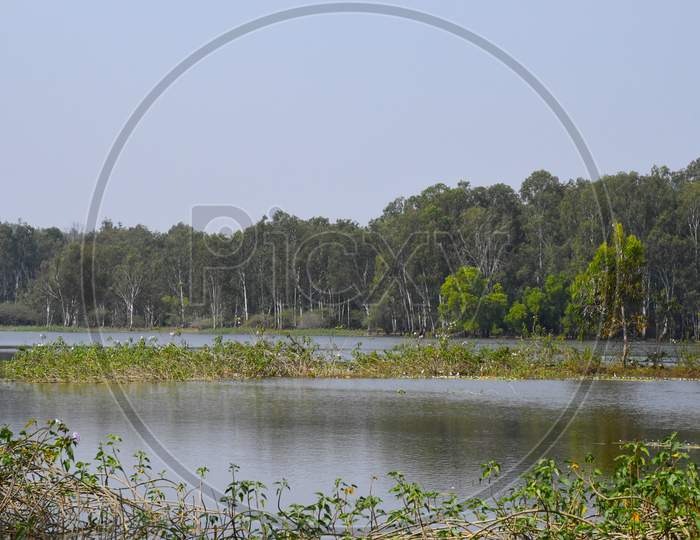 Kunduvada lake