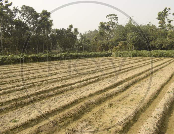 Ploughed Field In A Village For Cultivation