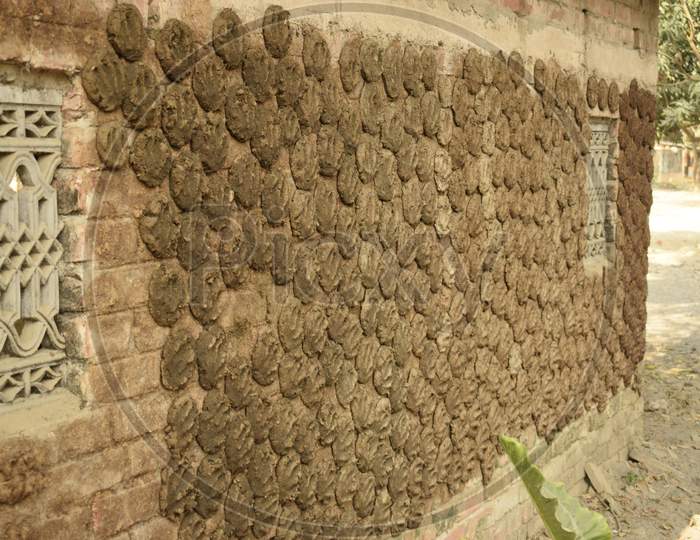 Cow Dung Cake Drying On The Village Wall