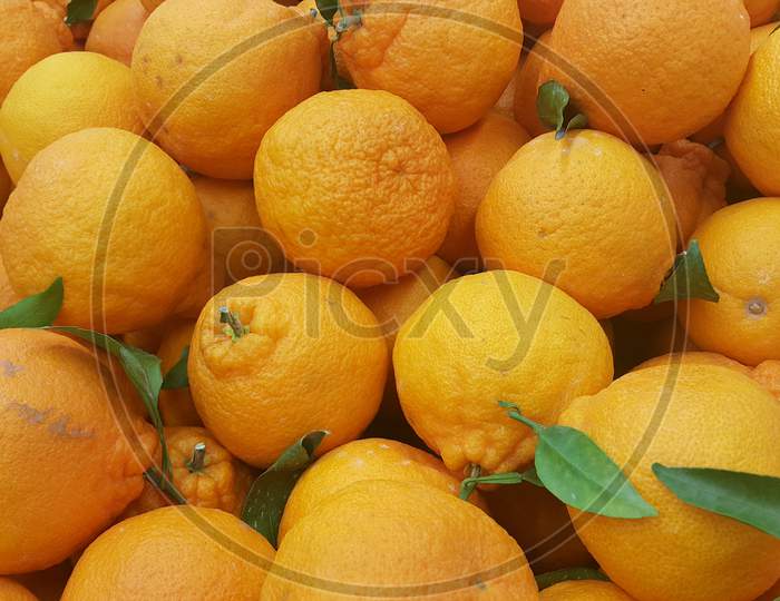 Fresh Organic Oranges