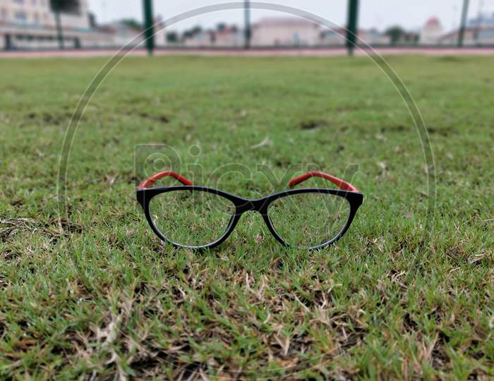 Black and red specs on grass ground