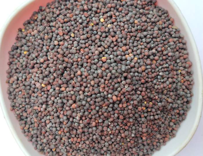 One bowl of black mustard seeds with white background