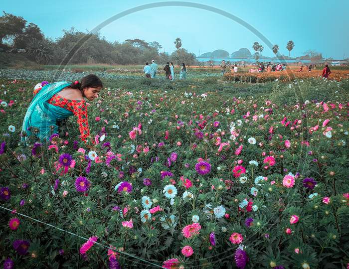 women farmer in westbengal with flower,flower garden