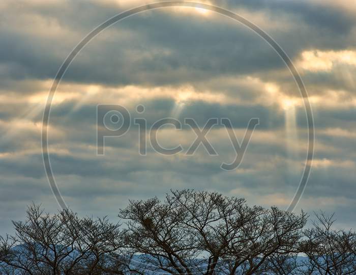 Beautiful View Of The Sky With Storm Clouds Over A Landscape With Leafless Trees