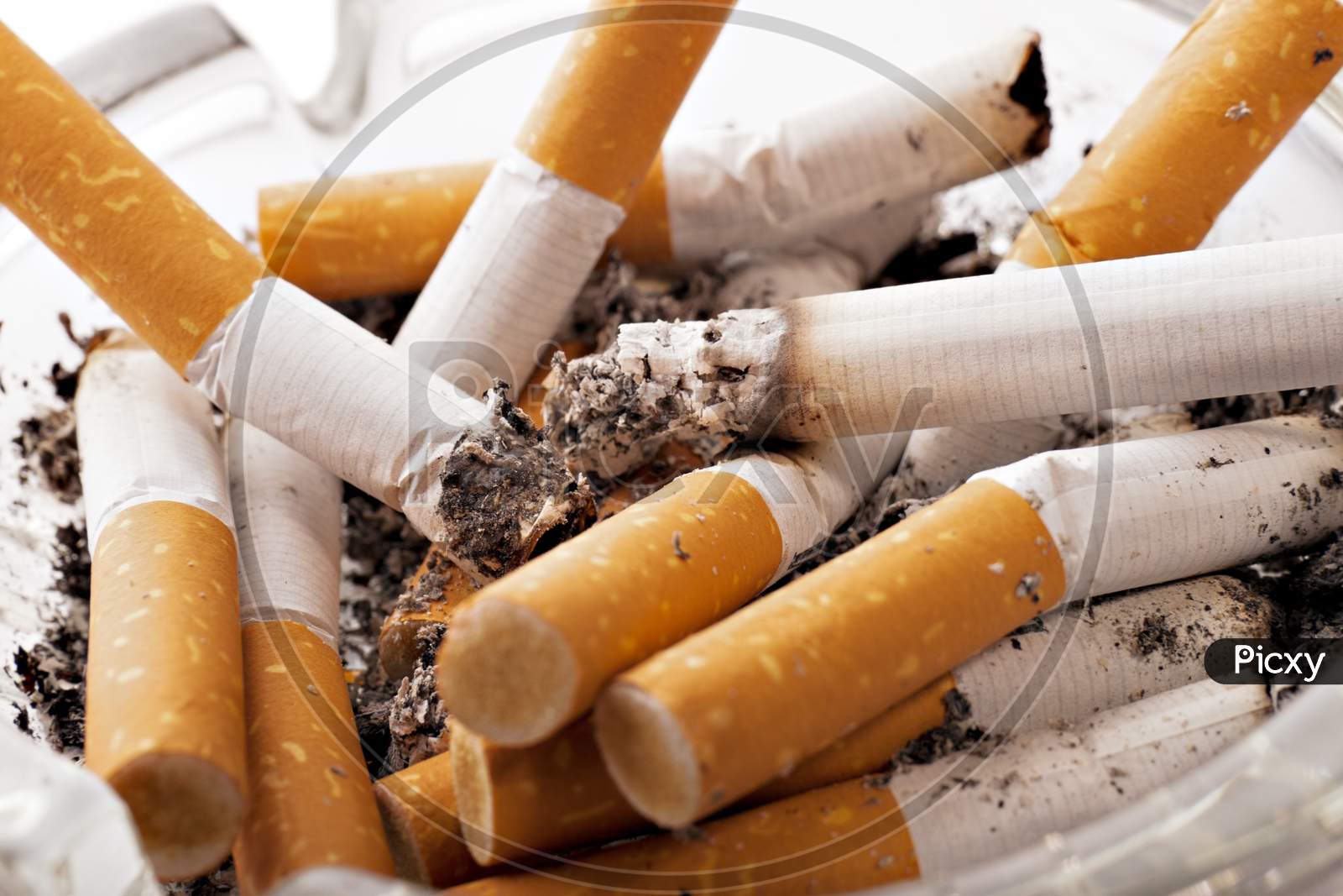 Tobacco  Toxic  Issues Unhealthy  Ashtray  Nobody
