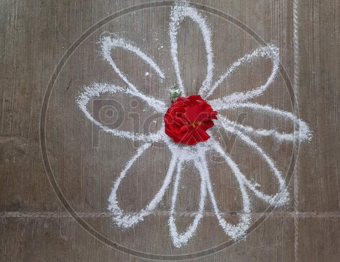 Closeup Of Simple White Color Rangoli Drawing On Concrete Floor And Decorated Center With Flower Red Rose