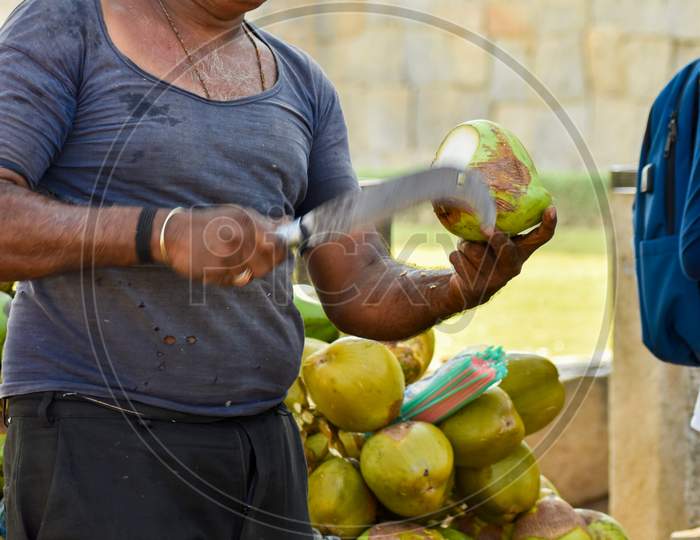 Man Cutting Coconut With Bill Hook Knife In Kerala