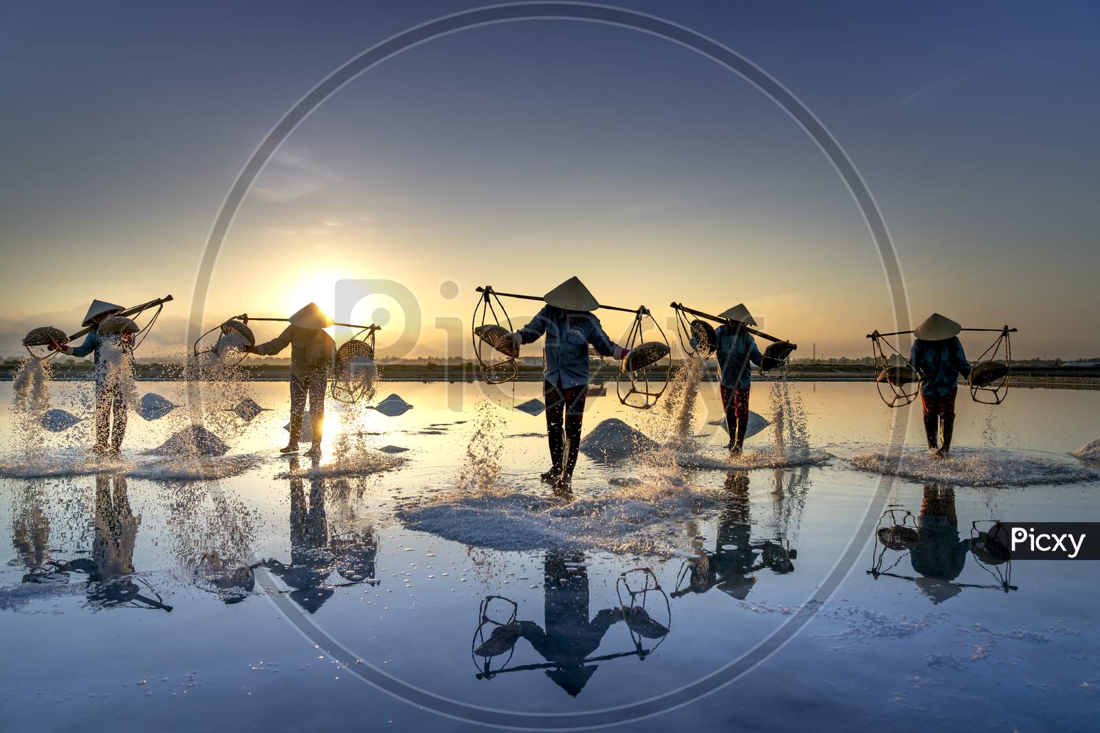 The women are working on the salt field at dawn.