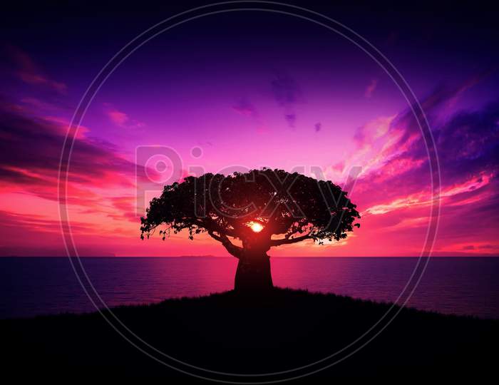 Baobab Tree At Sunset - African Landscape - Calm - Relaxing - Tranquility