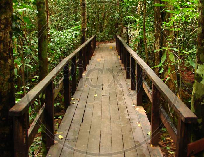A small wooden bridge in forest