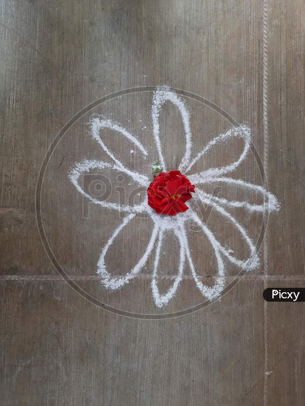 Closeup Of Simple White Color Rangoli Drawing On Concrete Floor And Decorated Center With Flower Red Rose