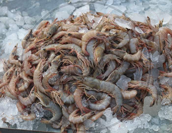 Fresh Raw Prawn or shrimp