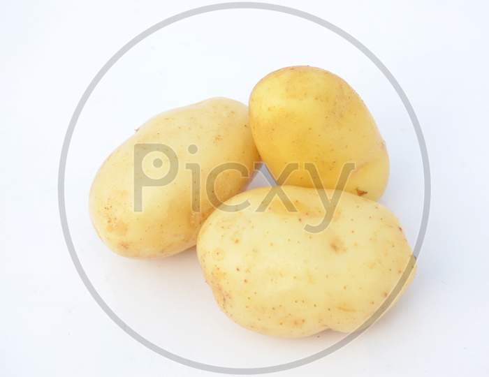 The Yellow Ripe Potato Isolated On White Background.