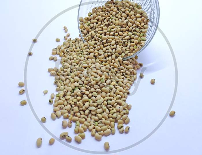 Dried Black-Eyed Peas Or Beans, Vigna Unguiculata