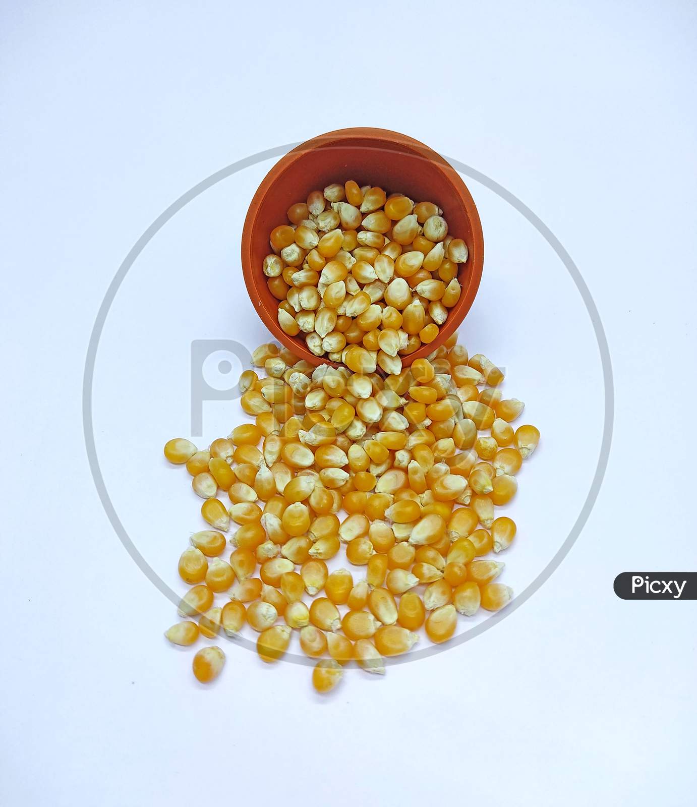 Corn Kernels, Corns Seeds, Yellow Dry Corn Grains Isolated On White Background, Falling Pouring From A Bowl