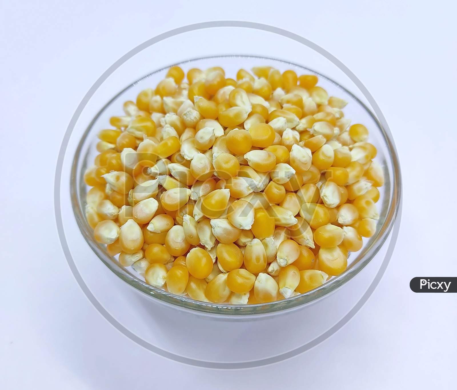Corn Kernels, Falling Corns Seeds, Yellow Dry Corn Grains In Bowl On White Background