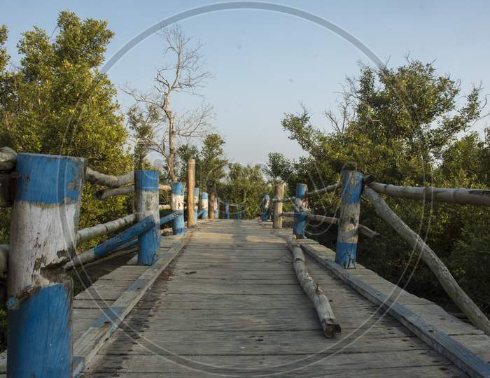 A Bamboo Bridge At The Entry Point Of "Henry Island".