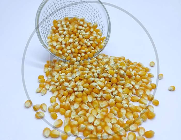 Corn Kernels, Falling Corns Seeds, Yellow Dry Corn Grains Isolated On White Background, Pouring From A Bowl