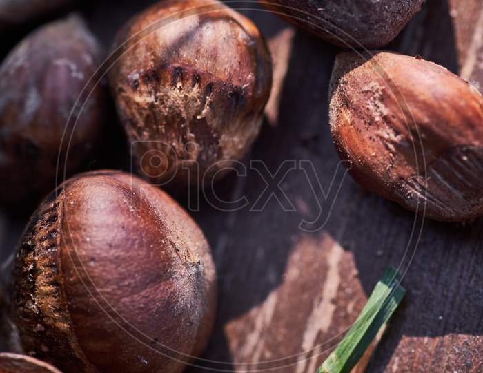 Closeup Shot Of Chestnut