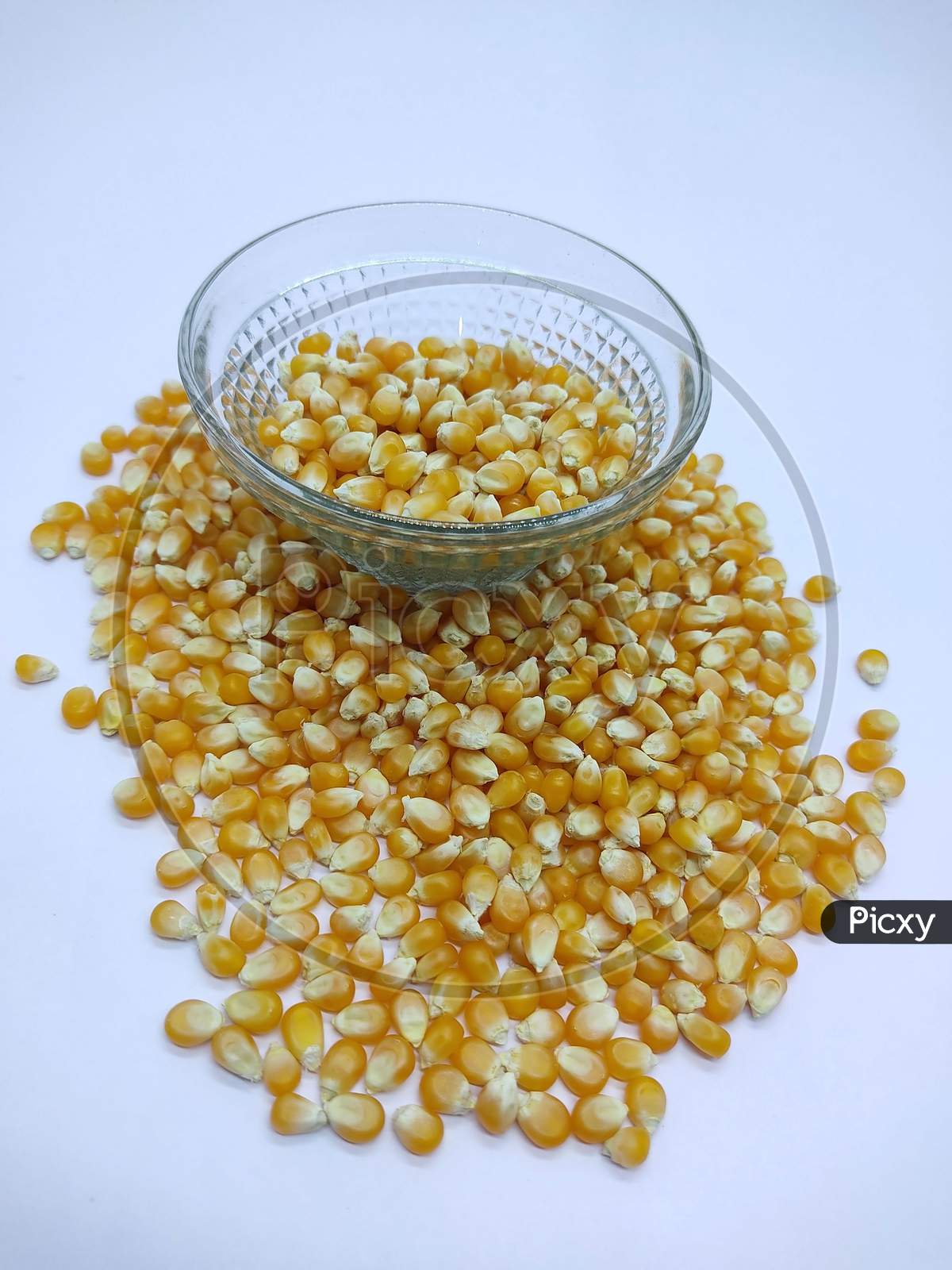 Corns Seeds, Corn Kernels, Yellow Dry Corn Grains Isolated On White Background.