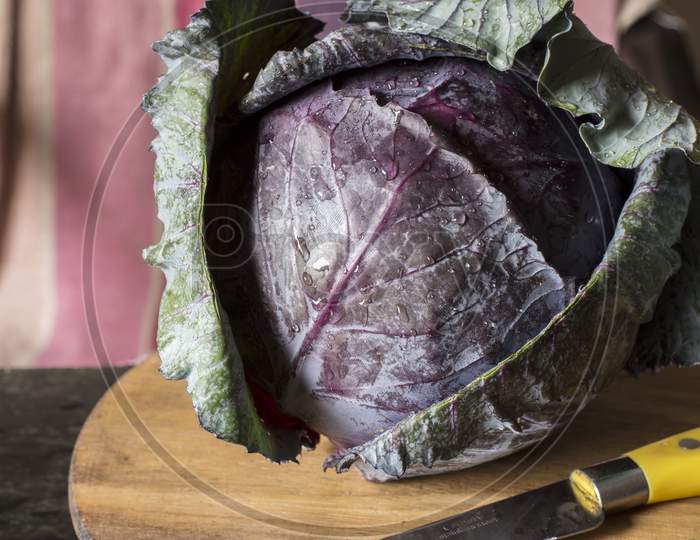 Fresh Organic Red Cabbage On Wooden Table.