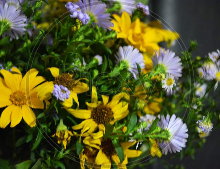 Beautiful Ukrainian wildflowers with different flowers and an inflorescence of yellow and violet color collected in one bouquet.