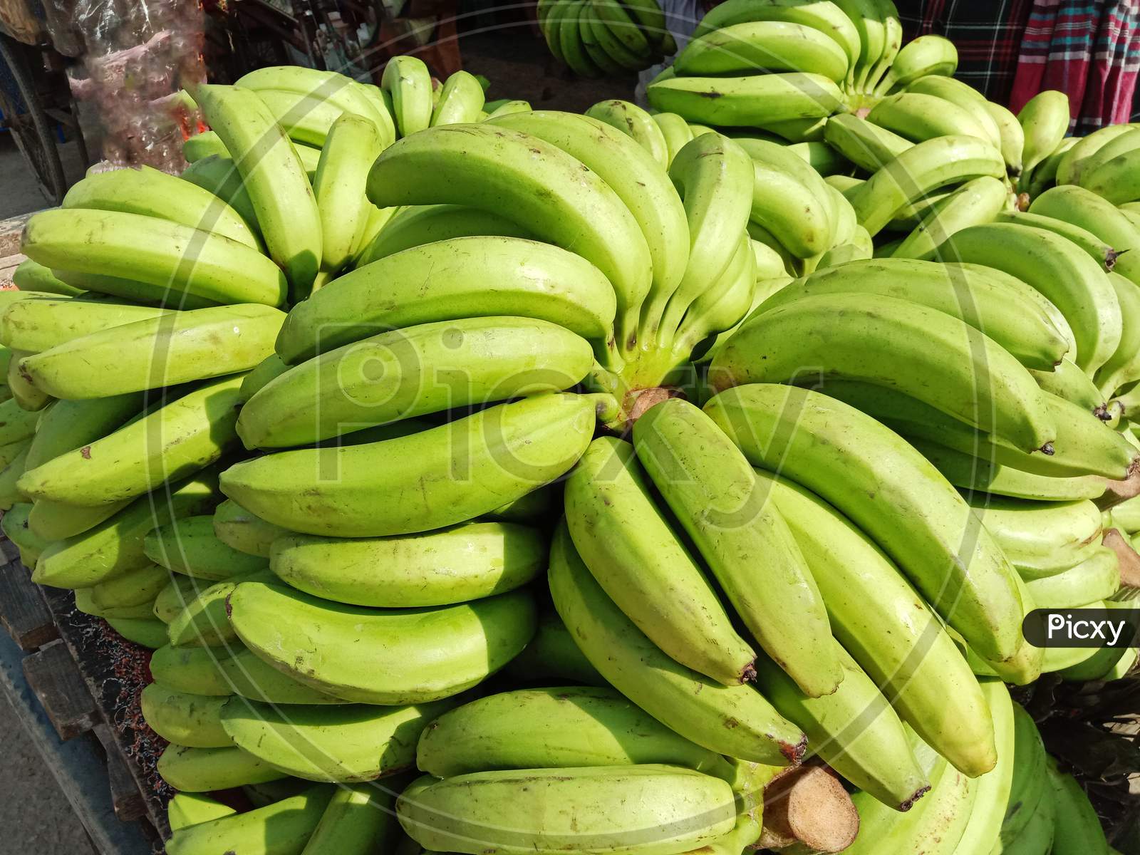 Healthy Raw Banana Bunch Stock