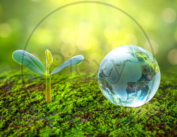 Concept Save The World Save Environment The World Is In The Grass Of The Green Bokeh Background