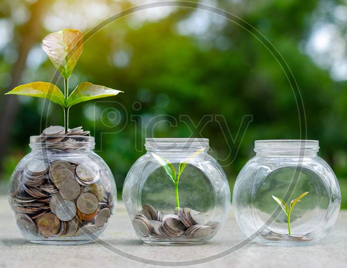 Coin Tree Glass Jar Plant Growing From Coins Outside The Glass Jar On Blurred Green Natural Background Money Saving And Investment Financial Concept