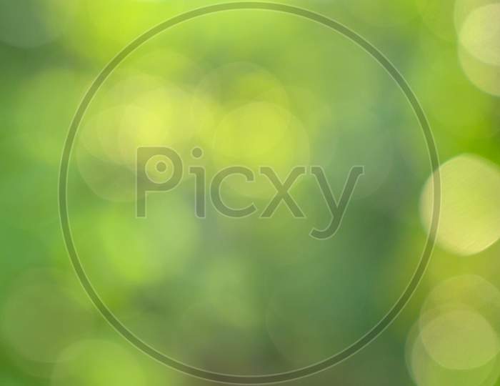 Bokeh Blur Green Background
