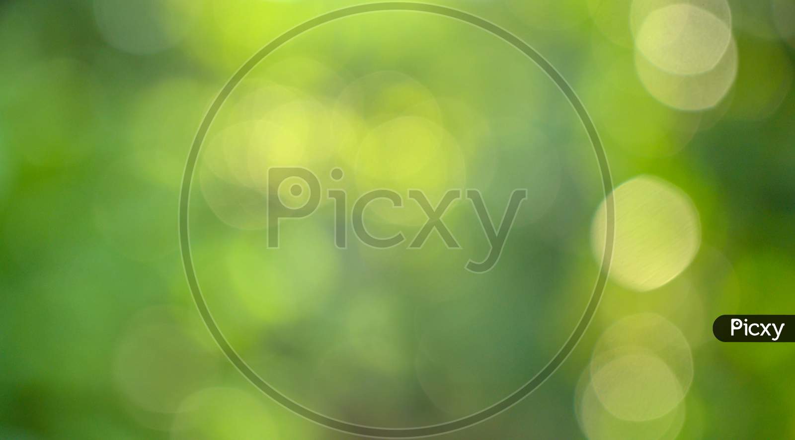 Bokeh Blur Green Background