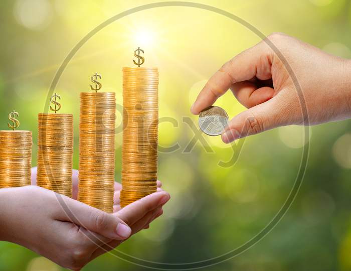 Money Growth Saving Money. Upper Tree Coins To Shown Concept Of Growing Business