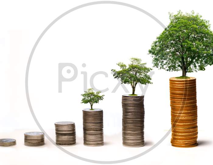 Money Growth Saving Money. Upper Tree Coins To Shown Concept Of Growing Business
