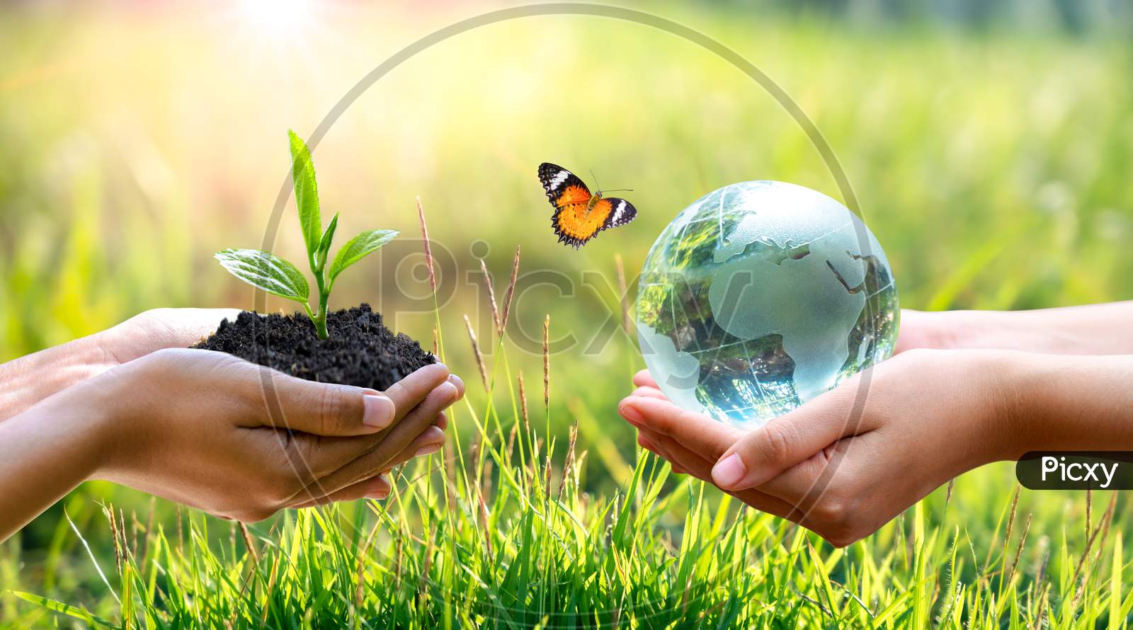 save green environment background